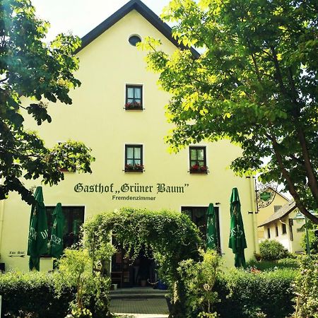 Hotel-Landgasthof Gruener Baum - Dittigheim Tauberbischofsheim Εξωτερικό φωτογραφία