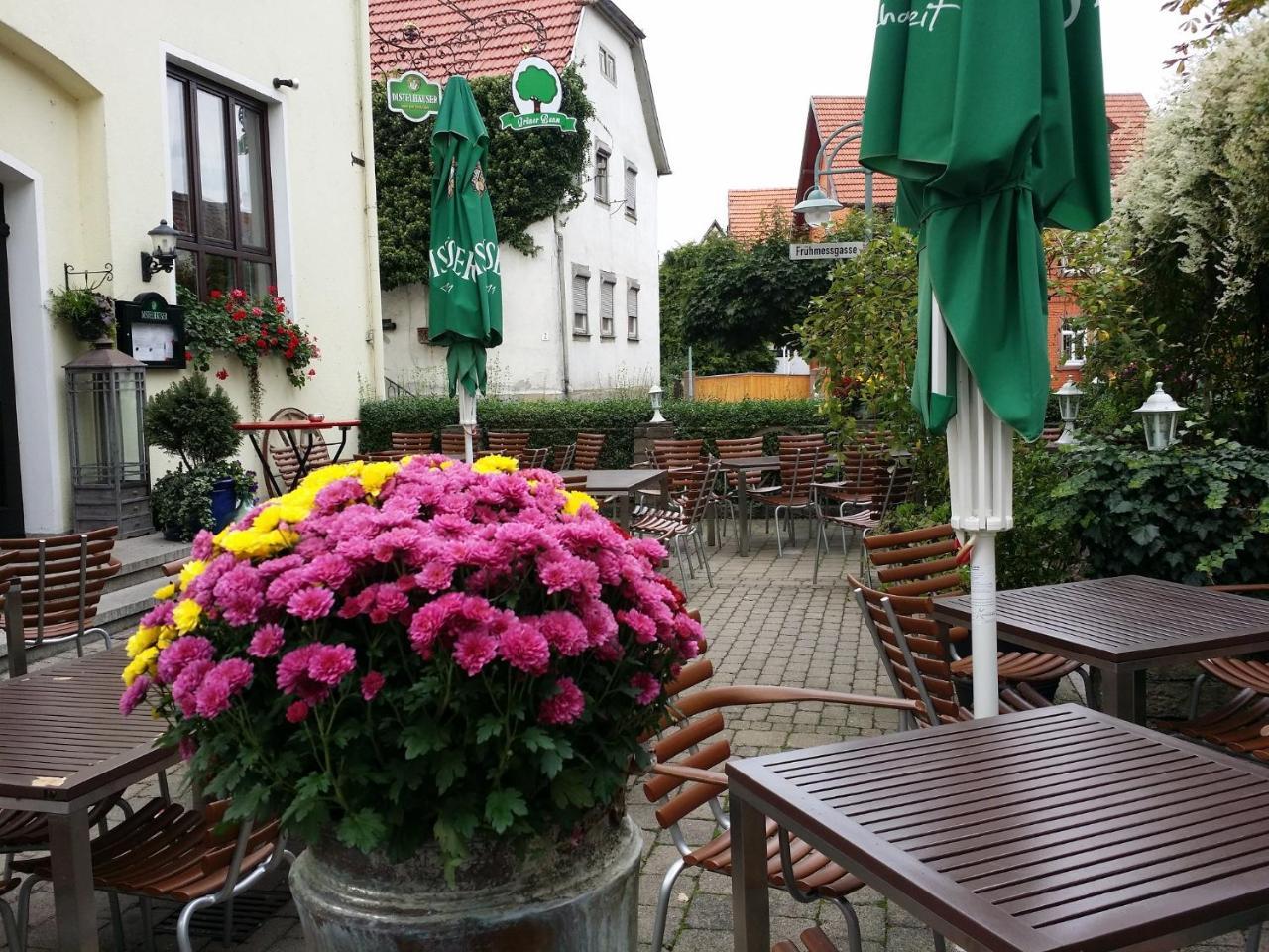 Hotel-Landgasthof Gruener Baum - Dittigheim Tauberbischofsheim Εξωτερικό φωτογραφία