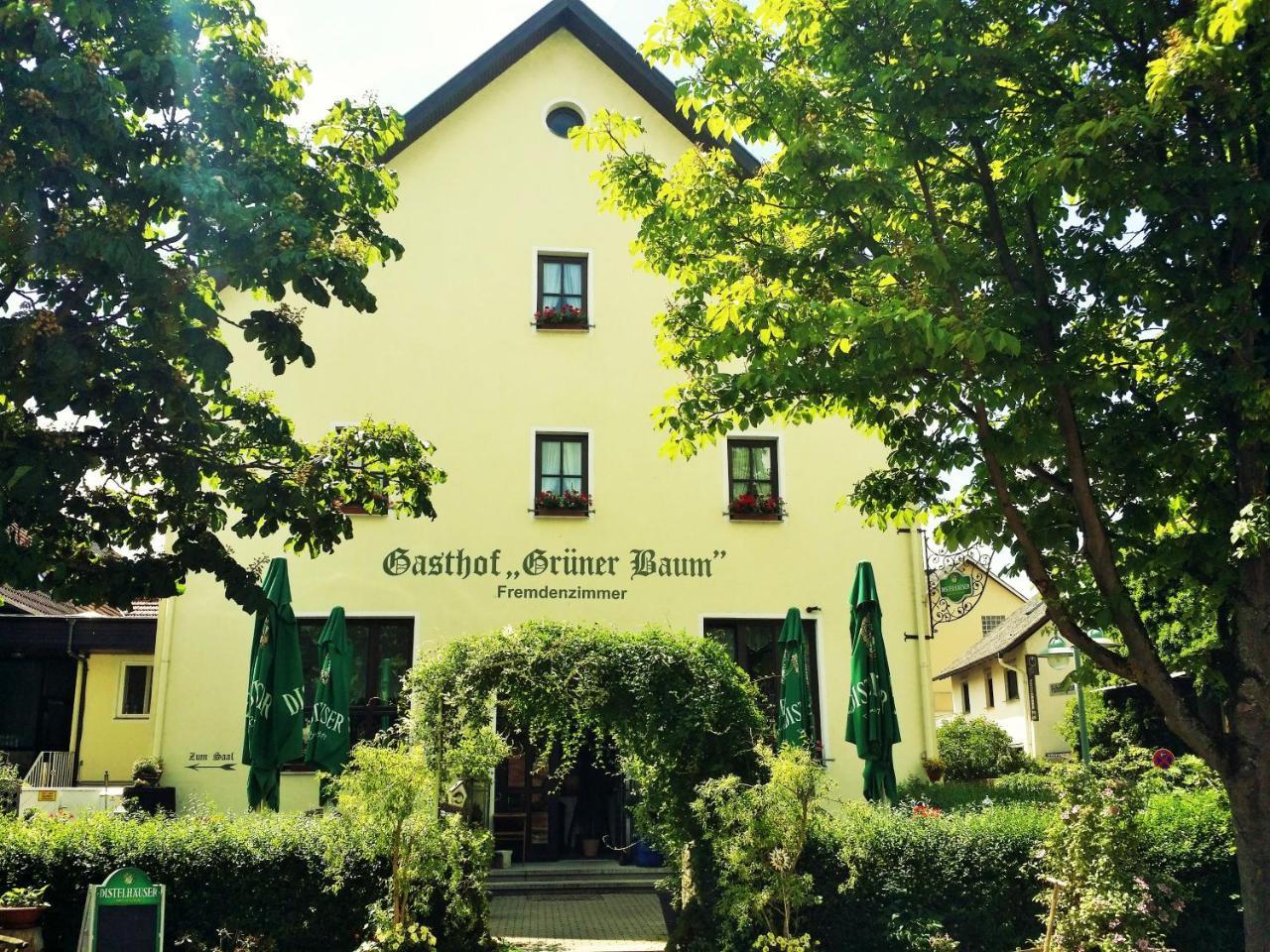 Hotel-Landgasthof Gruener Baum - Dittigheim Tauberbischofsheim Εξωτερικό φωτογραφία